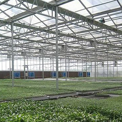 Hivernacle hidropònic