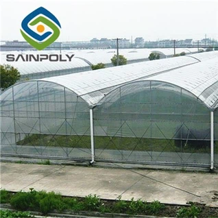 Hivernacle de film plàstic de tomàquet